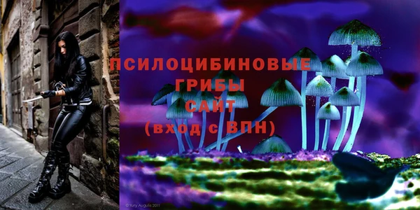 МДМА Бородино