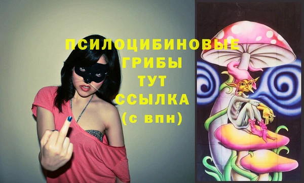 МДМА Бородино