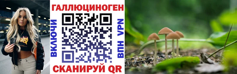 Псилоцибиновые грибы мицелий  Купить закладки  Малгобек 